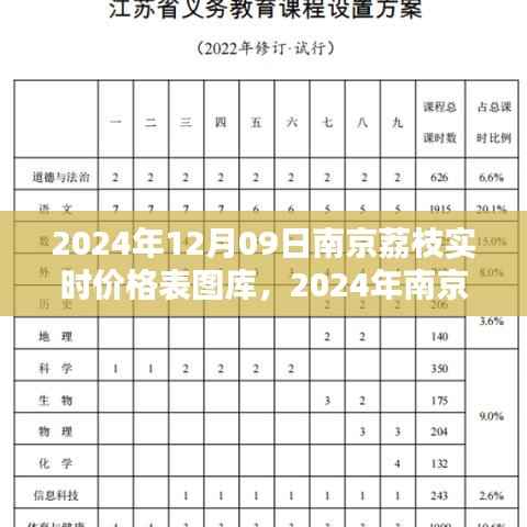 2024年南京荔枝实时价格表图库制作指南,从初学者到进阶用户全攻略