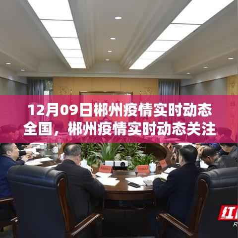 12月09日郴州疫情实时动态关注指南,全国疫情动态及初学者快速掌握方法