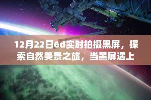 黑屏下的冬日自然探索,与自然美景共舞,寻找内心的宁静