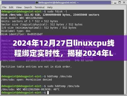 揭秘Linux CPU线程绑定技术,实时性能跃升与未来应用展望(2024年)