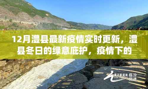 澧县疫情实时更新,冬日的绿意庇护与疫情下的自然探索