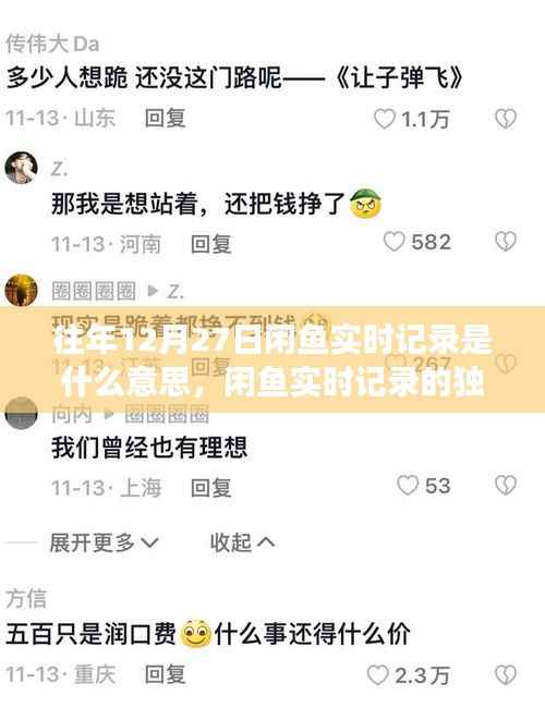历年十二月二十七日闲鱼实时记录的深度剖析与独特印记探索