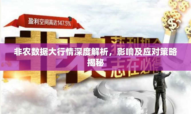 非农数据大行情深度解析,影响及应对策略揭秘