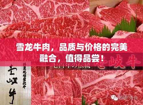 雪龙牛肉,品质与价格的完美融合,值得品尝!