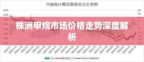 株洲甲烷市场价格走势深度解析