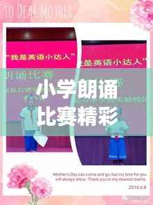 择善而从 第3页