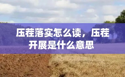 压茬落实怎么读,压茬开展是什么意思