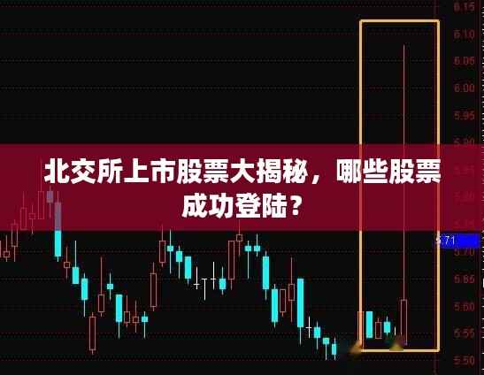 北交所上市股票大揭秘,哪些股票成功登陆?
