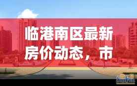 临港南区最新房价动态,市场走势分析,购房指南全解析