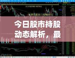 今日股市持股动态解析,最新策略与趋势分析