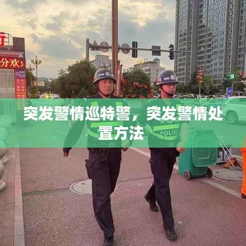 突发警情巡特警，突发警情处置方法 