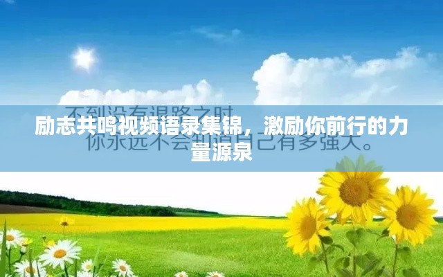 励志共鸣视频语录集锦,激励你前行的力量源泉