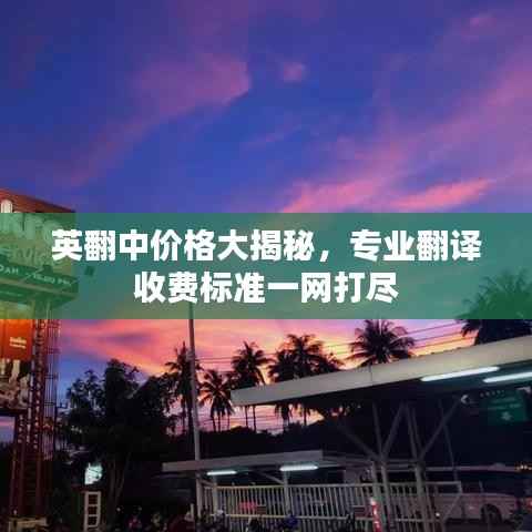 英翻中价格大揭秘,专业翻译收费标准一网打尽