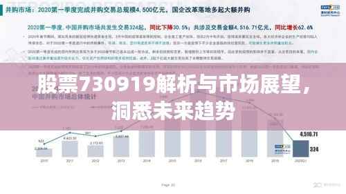 股票730919解析与市场展望,洞悉未来趋势