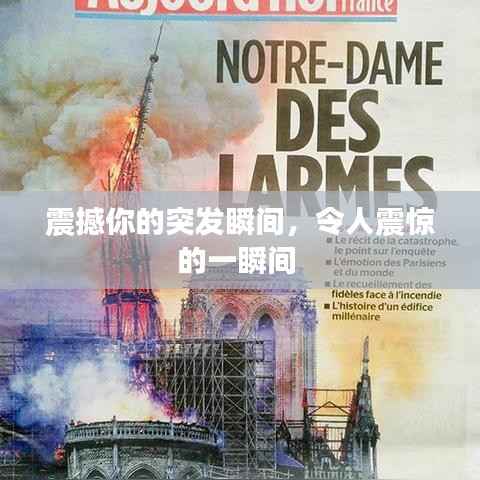 笨鸟先飞 第2页