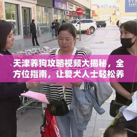 天津养狗攻略视频大揭秘,全方位指南,让爱犬人士轻松养宠!