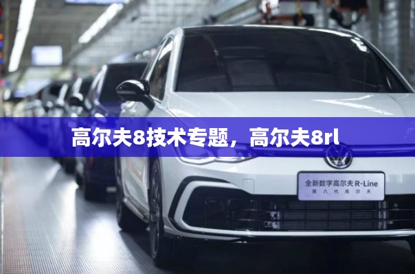 高尔夫8技术专题,高尔夫8rl