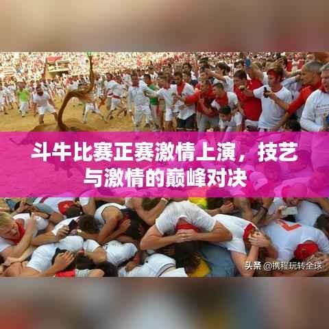 斗牛比赛正赛激情上演,技艺与激情的巅峰对决