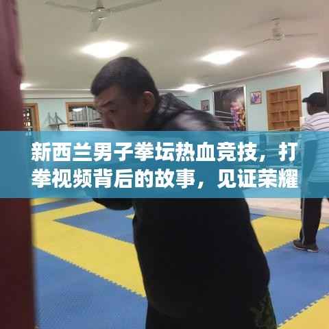 新西兰男子拳坛热血竞技,打拳视频背后的故事,见证荣耀时刻