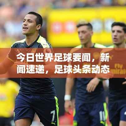 今日世界足球要闻,新闻速递,足球头条动态