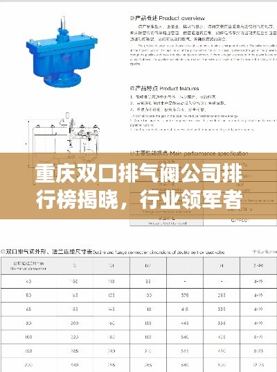 重庆双口排气阀公司排行榜揭晓,行业领军者榜单!