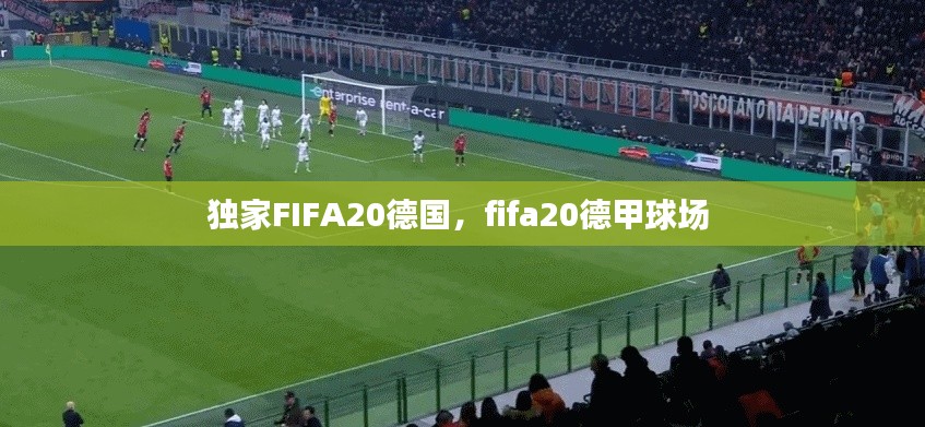 独家FIFA20德国,fifa20德甲球场