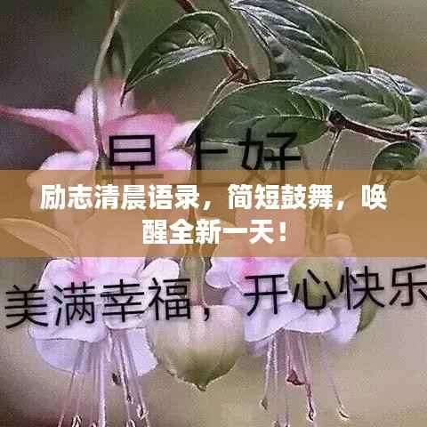 励志清晨语录,简短鼓舞,唤醒全新一天!