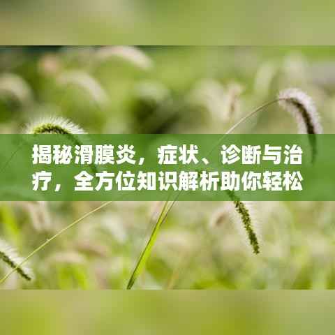 政策法规 第82页