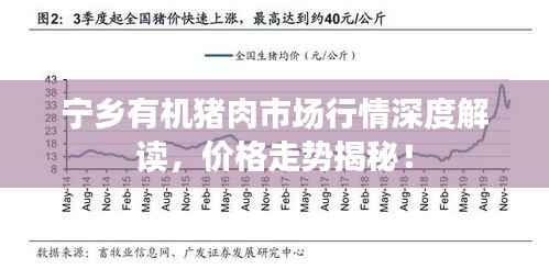宁乡有机猪肉市场行情深度解读,价格走势揭秘!