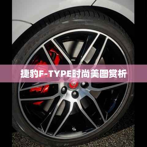 捷豹F-TYPE时尚美图赏析