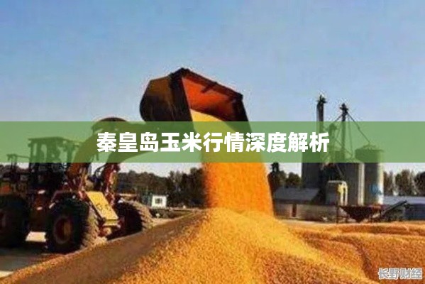 秦皇岛玉米行情深度解析