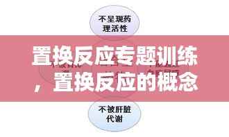 置换反应专题训练,置换反应的概念和例子