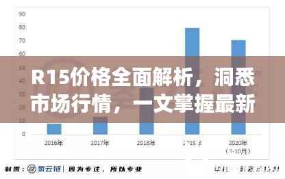 R15价格全面解析,洞悉市场行情,一文掌握最新价格动态!