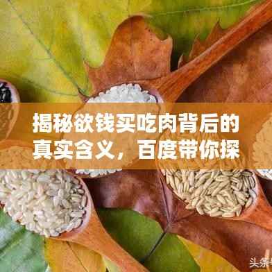 揭秘欲钱买吃肉背后的真实含义,百度带你探索真相!