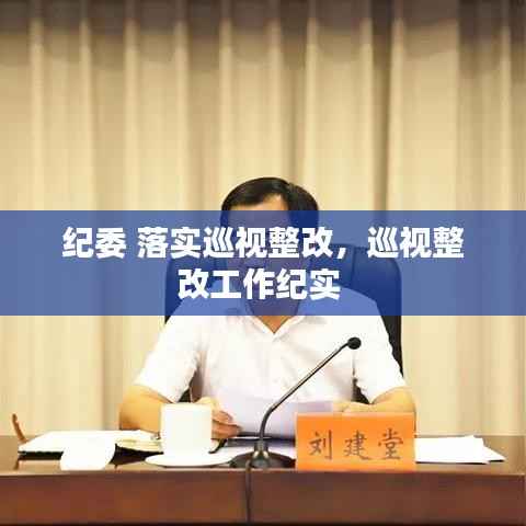 纪委 落实巡视整改,巡视整改工作纪实