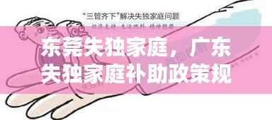 东莞失独家庭,广东失独家庭补助政策规定