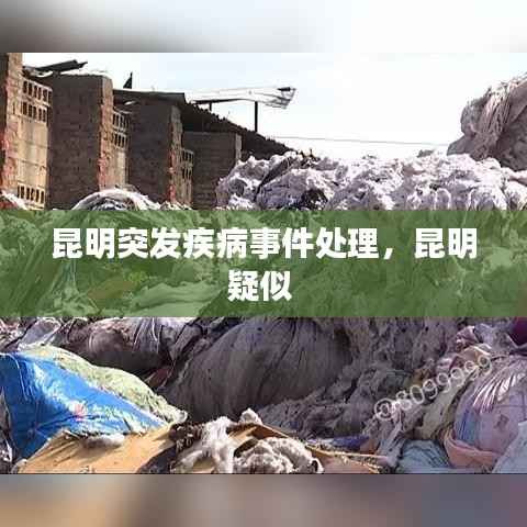 昆明突发疾病事件处理,昆明疑似
