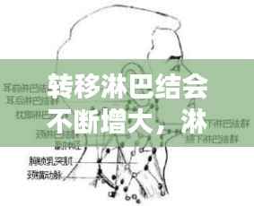 转移淋巴结会不断增大,淋巴转移会越来越大吗