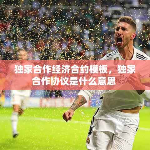 独家合作经济合约模板,独家合作协议是什么意思