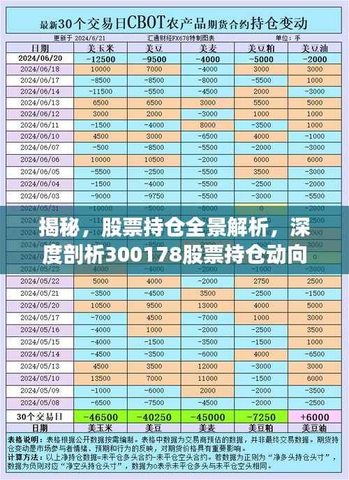 揭秘,股票持仓全景解析,深度剖析300178股票持仓动向