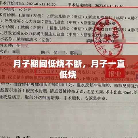月子期间低烧不断,月子一直低烧