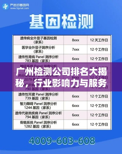 广州检测公司排名大揭秘,行业影响力与服务质量评估