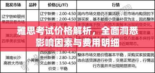 雅思考试价格解析,全面洞悉影响因素与费用明细