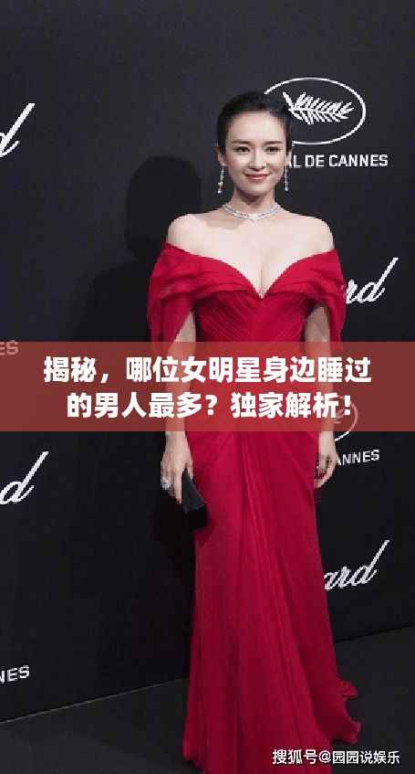 公司概况 第56页