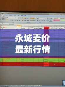 永城麦价最新行情分析,今日价格走势揭秘