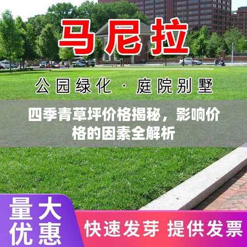 四季青草坪价格揭秘,影响价格的因素全解析