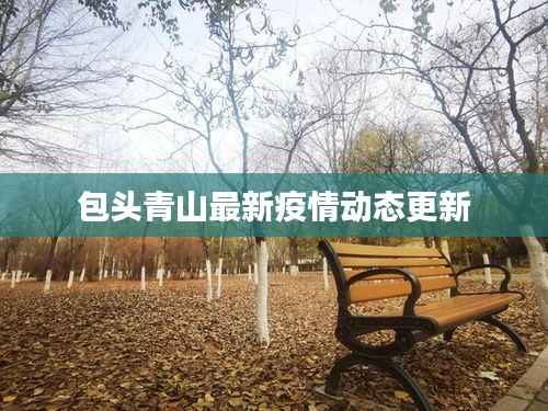 包头青山最新疫情动态更新