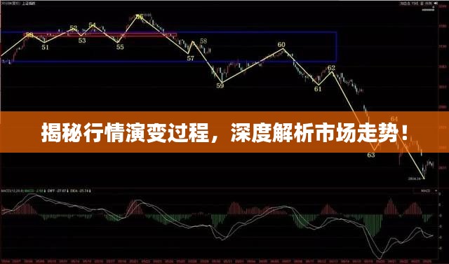 公司概况 第52页