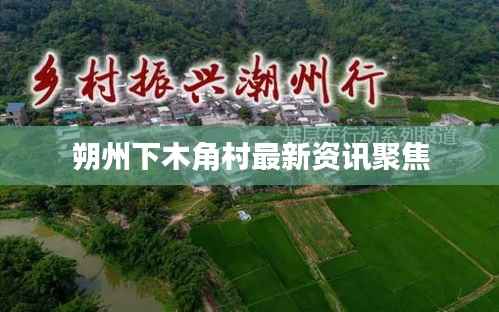 朔州下木角村最新资讯聚焦