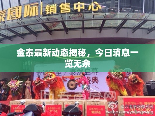 金泰最新动态揭秘，今日消息一览无余
